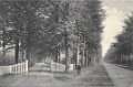 Driebergseweg0005, Driebergschew straatweg. 1910